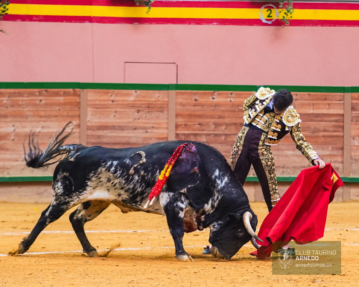 clubtaurino's tweet photo. [ 📝 𝟯º 𝗡𝗢𝗩𝗜𝗟𝗟𝗢 ]

Silencio para Gonzalo Capdevila en el tercer novillo de la tarde

#ZapatoDeOro https://t.co/F0rWkHDNAh