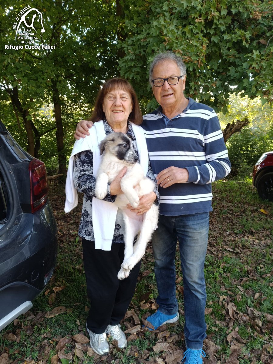 cuccefelici's tweet image. 🎈🍼 Athena, recuperata in una Frazione di #LAquila insieme ai fratellini, va a casa 🥳🏠
🙏 Grazie a Giuliana e alla sua famiglia per aver scelto di #adottare in #canile 🐶 🤩
🫵 Arricchisci la tua vita: adotta! 🐾 ➡ bit.ly/adottaLNDCAQ