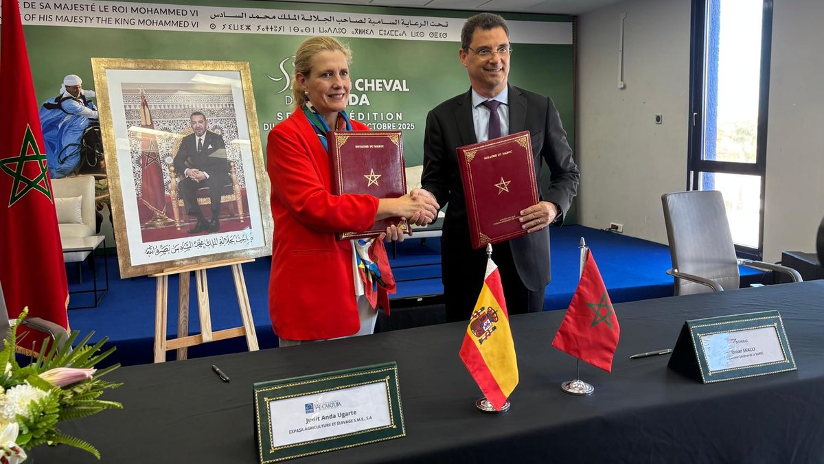 Yeguada_Cartuja's tweet photo. 🤝 Yeguada Cartuja Hierro del Bocado y SOREC han firmado un convenio para impulsar la cooperación en ganadería, ciencia y cultura ecuestre🐴

El acuerdo fomentará la cría conjunta, la investigación genética y el intercambio profesional entre España y Marruecos🇪🇸🇲🇦 https://t.co/RmSbadlU85