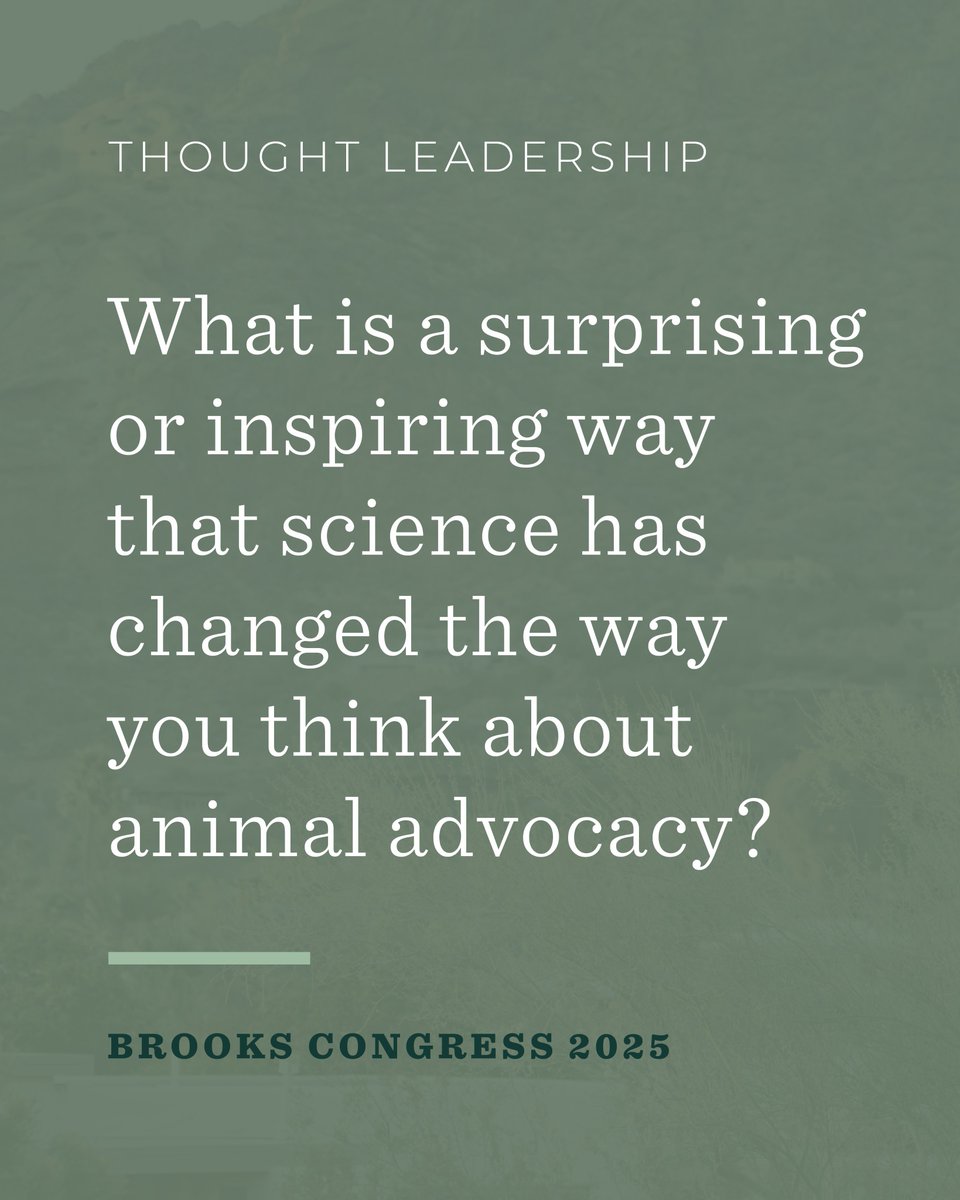 The Brooks Institute tweet media