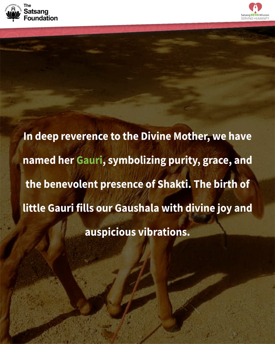 TheSatsangFoundationOfficial (@satsangtweets) on Twitter photo To support our growing family at our Gaushalas, please contribute at app.satsang-foundation.org/donate.
To know more about our #Gaushala initiative, please write to us at connect@satsang-foundation.org.
#TheSatsangFoundation #SatsangSevaMission #SSM #GoPalan  #Madanapalle #Chowdepalle To support our growing family at our Gaushalas, please contribute at app.satsang-foundation.org/donate.
To know more about our #Gaushala initiative, please write to us at connect@satsang-foundation.org.
#TheSatsangFoundation #SatsangSevaMission #SSM #GoPalan  #Madanapalle #Chowdepalle