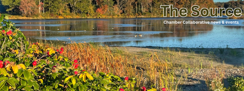 The Chamber Source: A West End ribbon cutting, Art 'Round Town and new members! - mailchi.mp/portsmouthcoll…