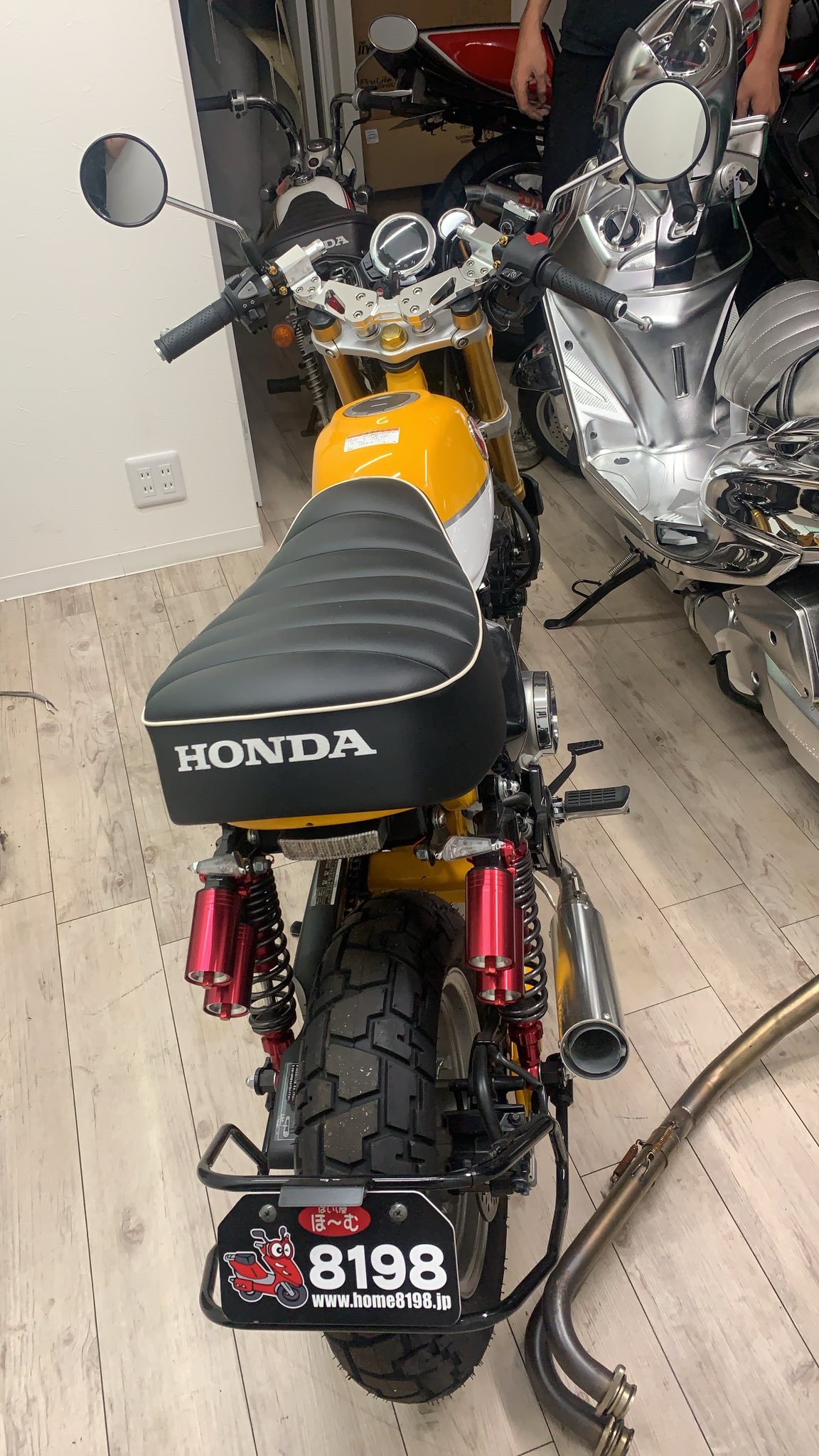 よったん HEADWAY HF-YOZAKURA SE'22 F,S/STD YZB|ドルフィンギターズ