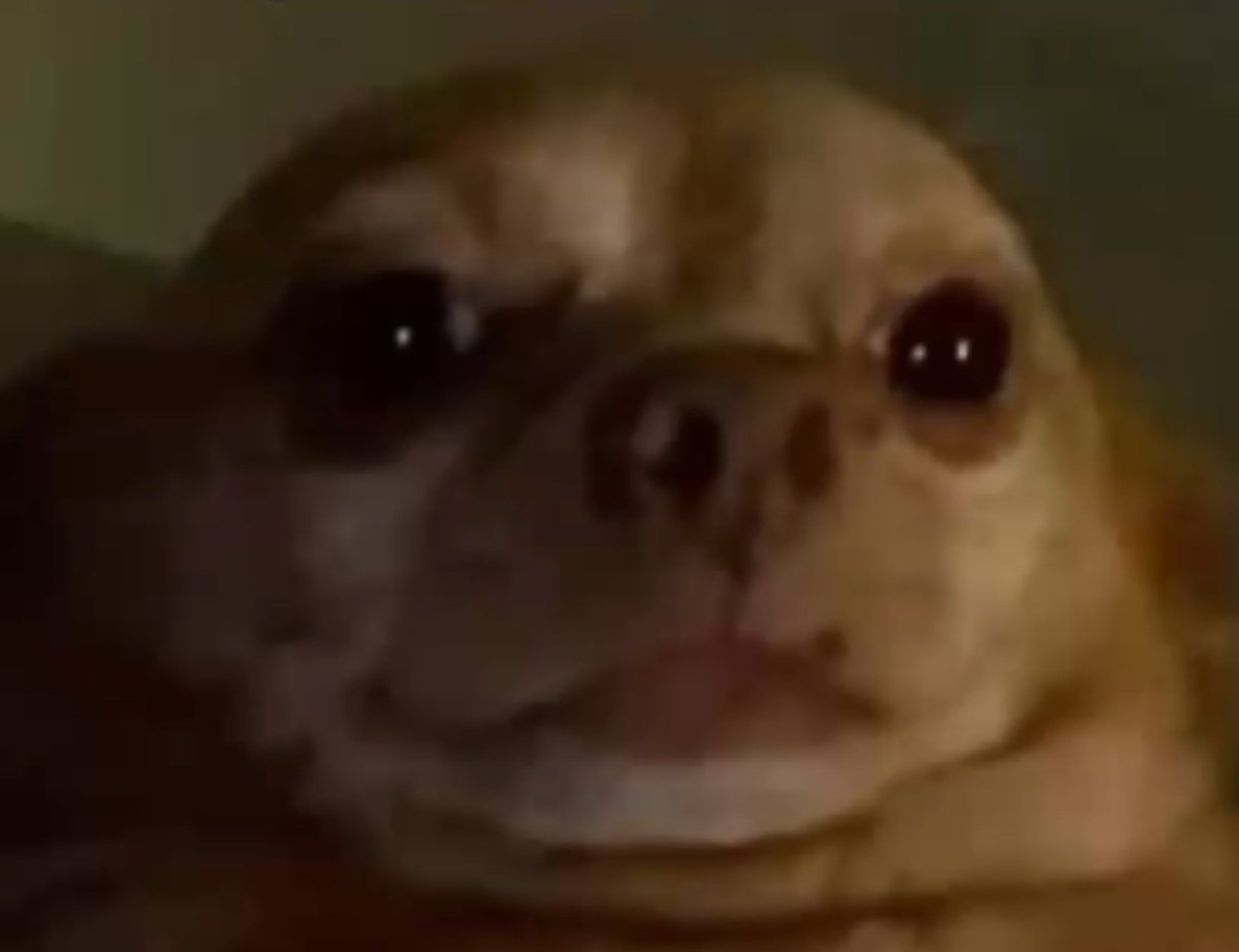 Tan grande que es el mundo y ni un pedazo de tierra he ganado por pertenecia.