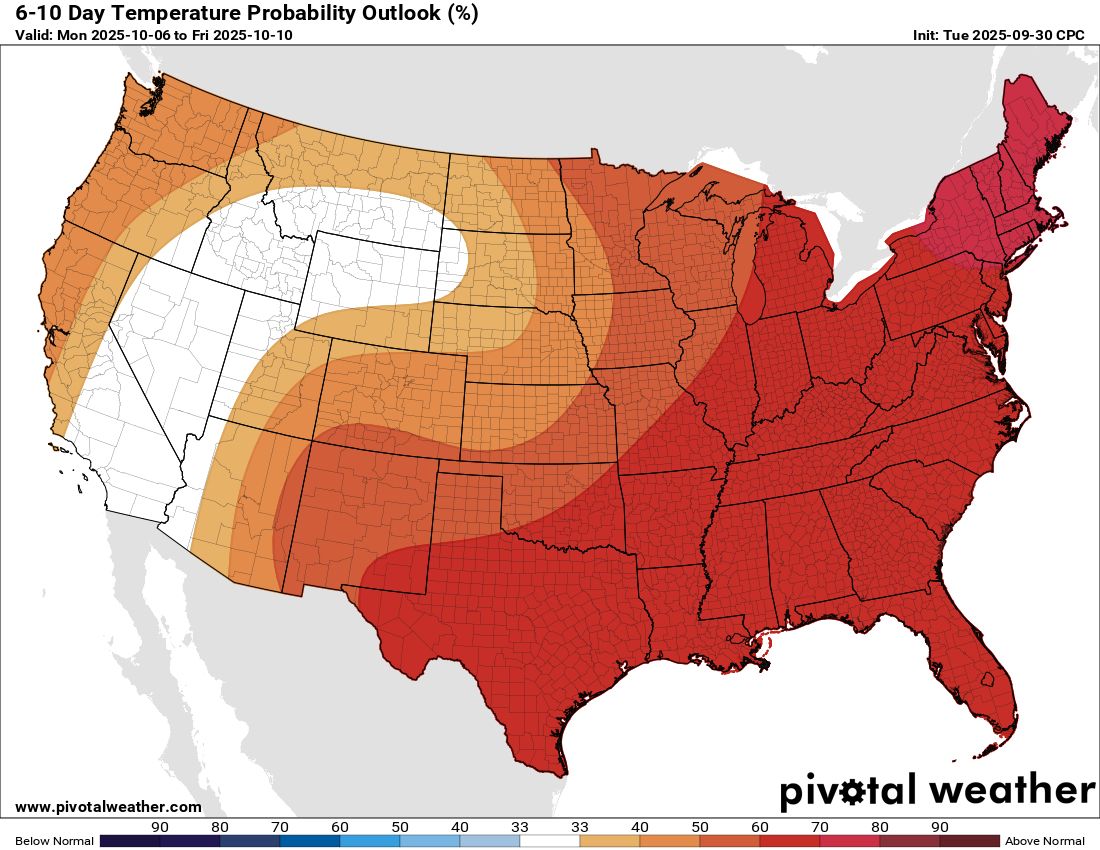 Max Velocity tweet media