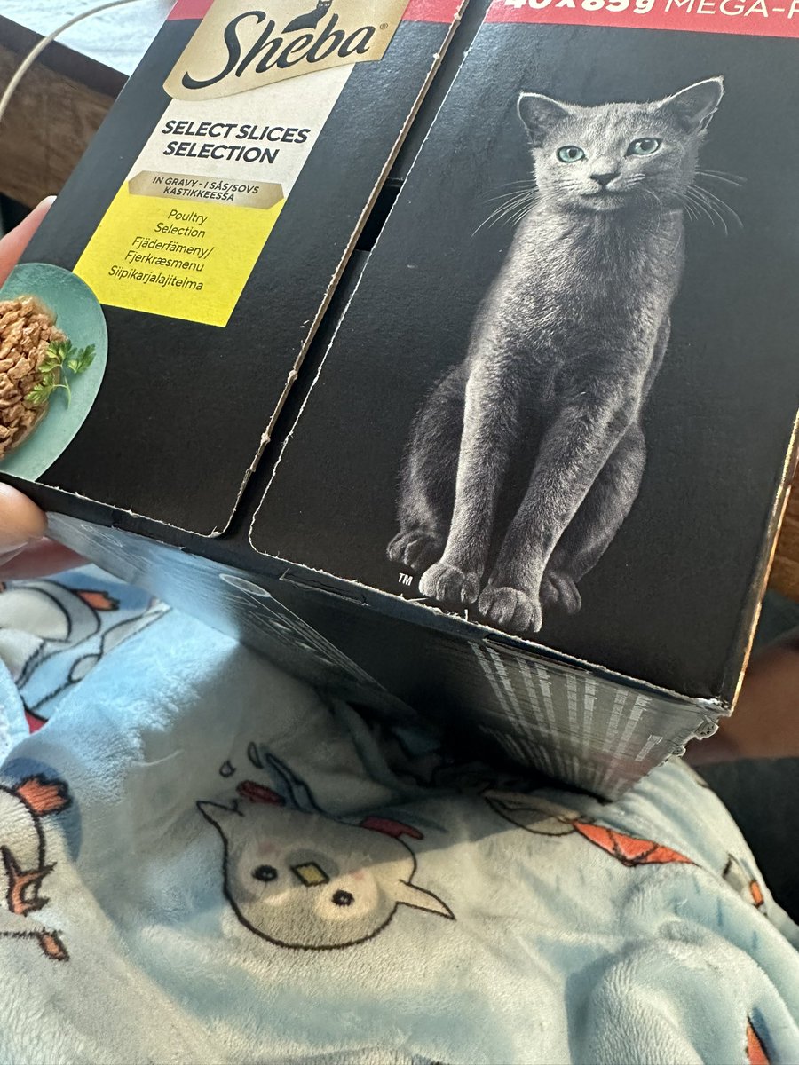 Megalomaniac Morrissey🌈🤍🧡 tweet media