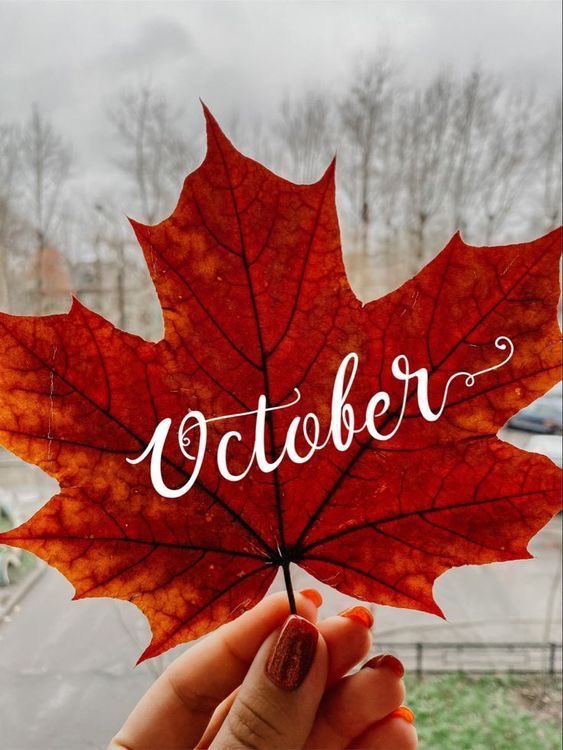 And so my favourite months begin 🍁🍂