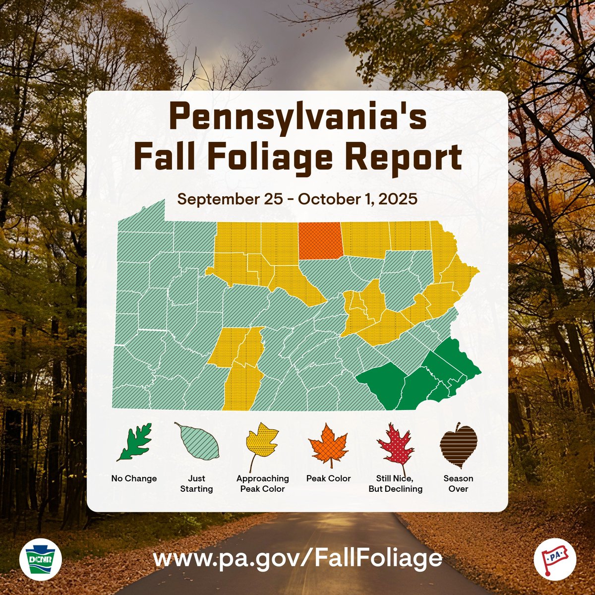 Fayette County PA tweet media