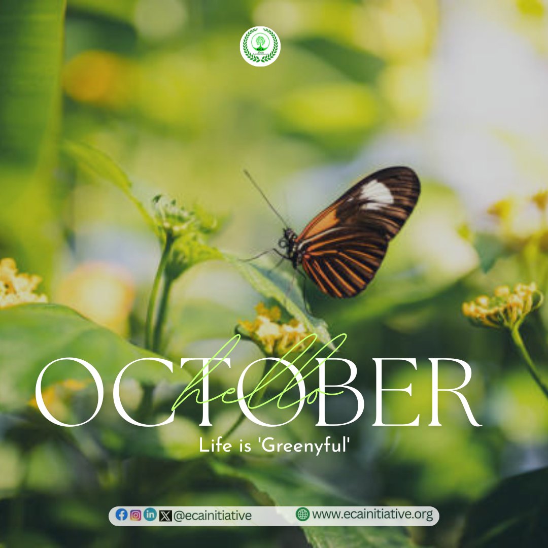 Eco Clean Active Initiative tweet media