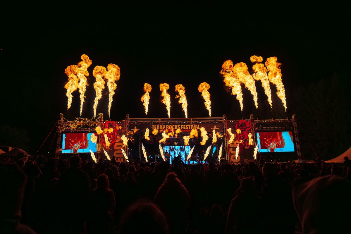 Teddy Rocks Festival tweet media