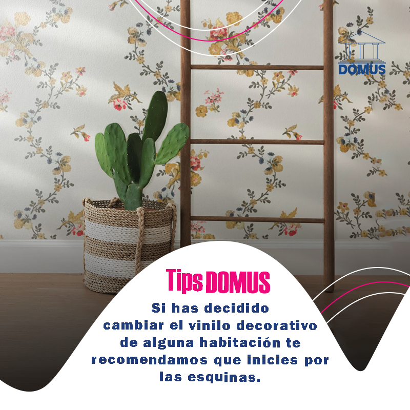 inmodomus's tweet photo. 💡Si has decidido cambiar el #vinilodecorativo de alguna habitación 🏠 te recomendamos que inicies por las esquinas para evitar que dañe la #pintura de la pared. 😉

#InmobiliariaDOMUS #TipsDOMUS #Mérida #España #decoraciónhogar #decoración https://t.co/WsRyo3mqWd