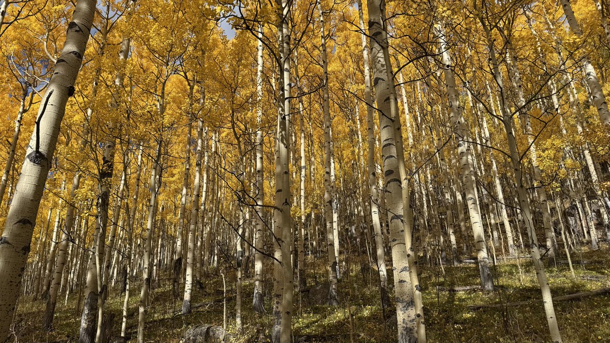 Good morning 

Escaped into the mountains today for some grounding before Yom Kippur tomorrow 🙏