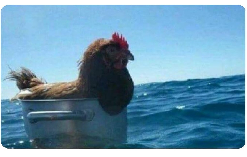 Cuando me piden una asesoría en Derecho Aduanero.