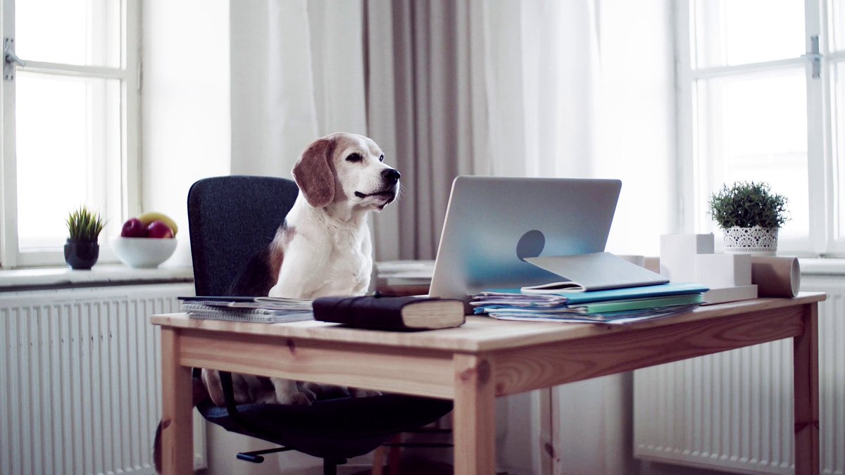 Tim Reedy tweet media