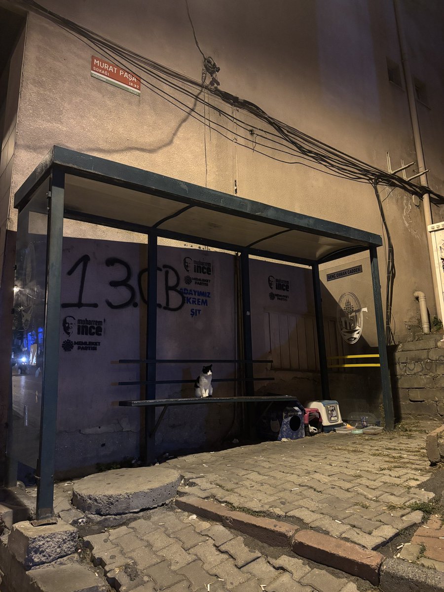SenHacen's tweet photo. tek basına oturmus kendi esprilerine gülüo https://t.co/Bl8wLqCoCv