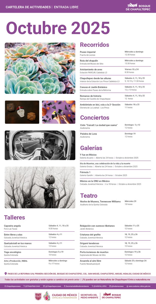 Ya huele a pan de muerto y cempasúchil 💀🌼

Acompáñanos en todas las actividades que hemos preparado para este mes de octubre, descarga la cartelera completa en el siguiente enlace 👇

bosquedechapultepec.mx:9000/bosquedechapul…