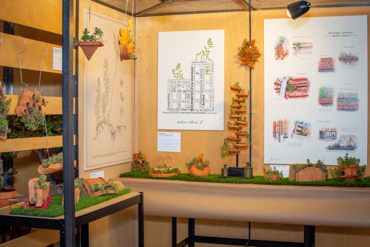 photoAlquimia's tweet photo. Este jueves 2 a las 19:00 se cierra la presentación de proyectos de residencias “Carabanchel 2031” organizado por @Espac101 “Ciudad Sedum” y “Rehabitarium” os ofrecen “un recorrido por futuros posibles” dentro del festival #Cruzacarabanchel Foto @photostudio_umeres/@davidtovar_11 https://t.co/PnMbE0rsXb