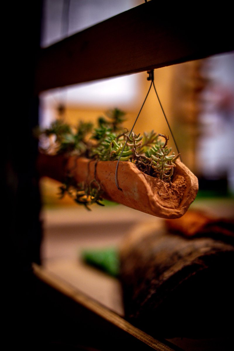 Este jueves 2 a las 19:00 se cierra la presentación de proyectos de residencias “Carabanchel 2031” organizado por @Espac101 “Ciudad Sedum” y “Rehabitarium” os ofrecen “un recorrido por futuros posibles” dentro del festival #Cruzacarabanchel Foto @photostudio_umeres/@davidtovar_11