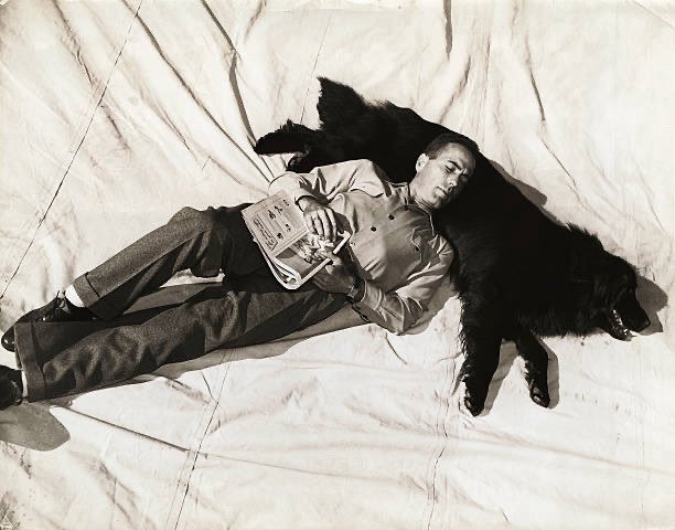 Cocolasvegass's tweet photo. Bogie and his dogs ! #bogie #bacall https://t.co/H0z8TmtZXr