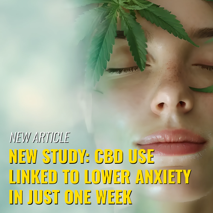 WorkmansRelief's tweet image. Science-backed calm: A new study highlights how CBD may ease anxiety in just one week. We break it down in our latest article—simple, clear, and easy to digest.

Check it out: zurl.co/pmw7l 

#CBDHealth #StressRelief #WorkmansRelief