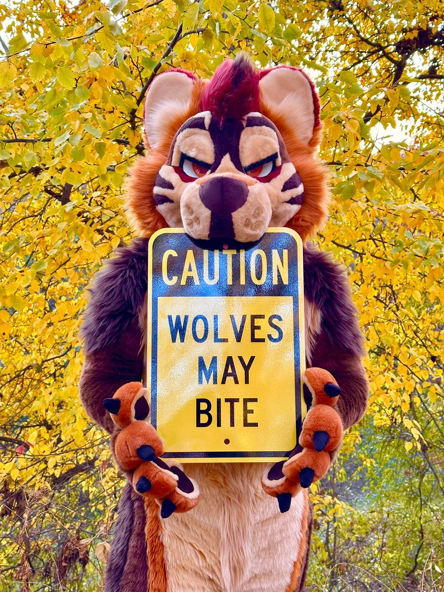 Happy October fluffs don’t forget it’s wolfy season 🐺 Awooo!

📸<a href="/PaxtonRaze/">✨♦️Paxton Raze♦️✨</a> #October #furry