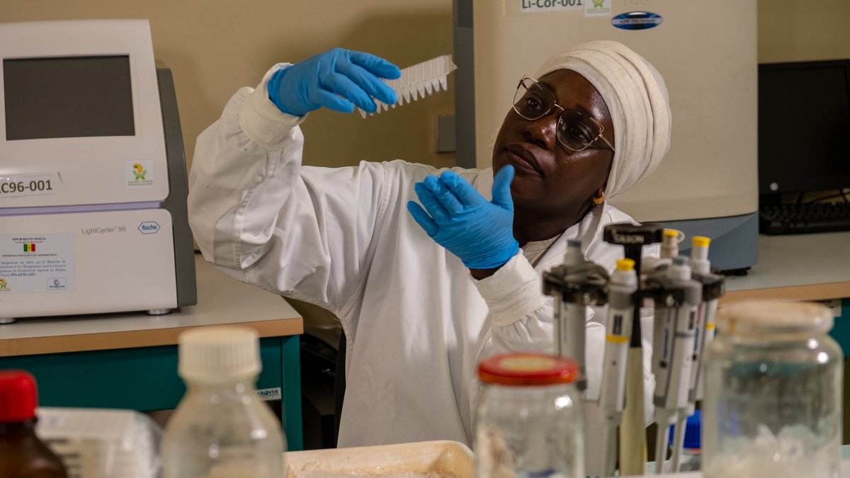AWARDFellowship's tweet photo. Calling Young African women in Women in Science 📣

Application for the 2026 Leadership Program for Emerging African Women in Agricultural Sciences is still open! 💥
Learn more and apply!

📅 Apply by Oct 15, 2025

👉https://t.co/PEZt3Jr0yG.

#GenderInAg https://t.co/CPXLqidzKR