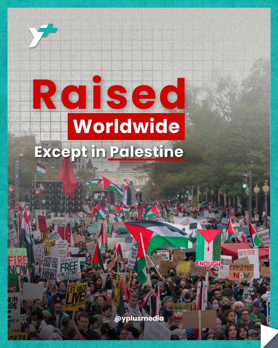 Yplus0's tweet photo. Palestinian Flag Day .. https://t.co/MkXXIkhFpe