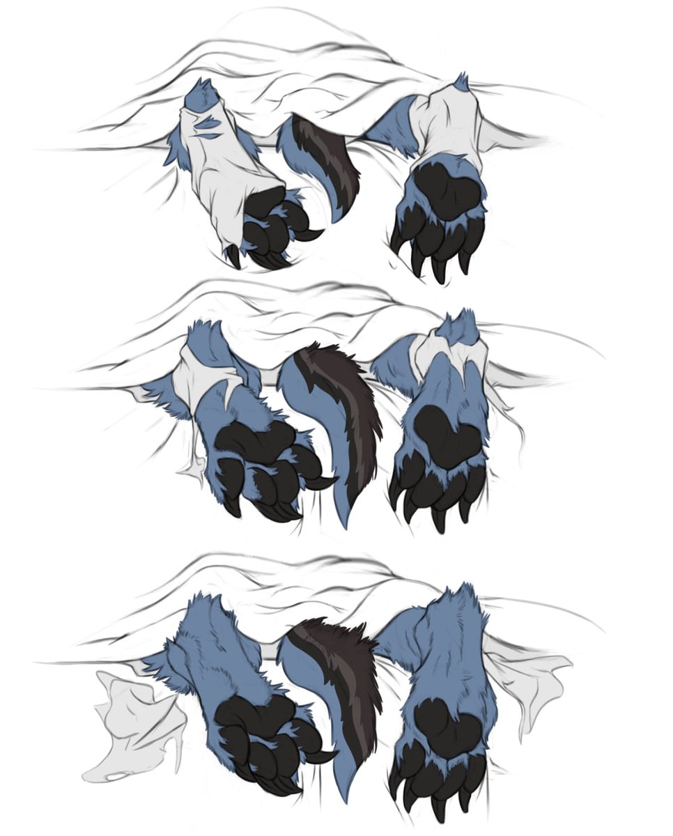 Midnight (@dusky_paws) on Twitter photo First day of October....the changes have already started.. First day of October....the changes have already started..