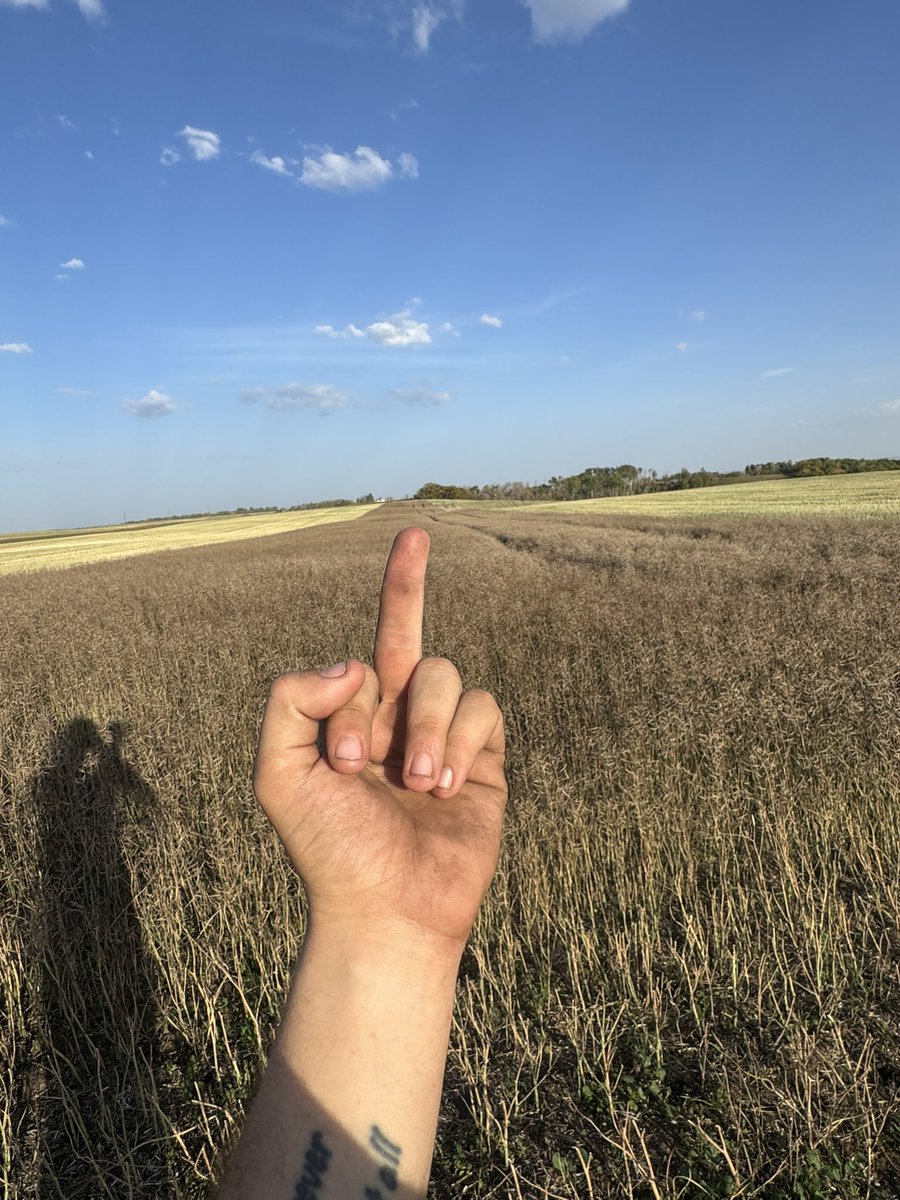 Mayor of Thunderhill 🇷🇺 tweet media