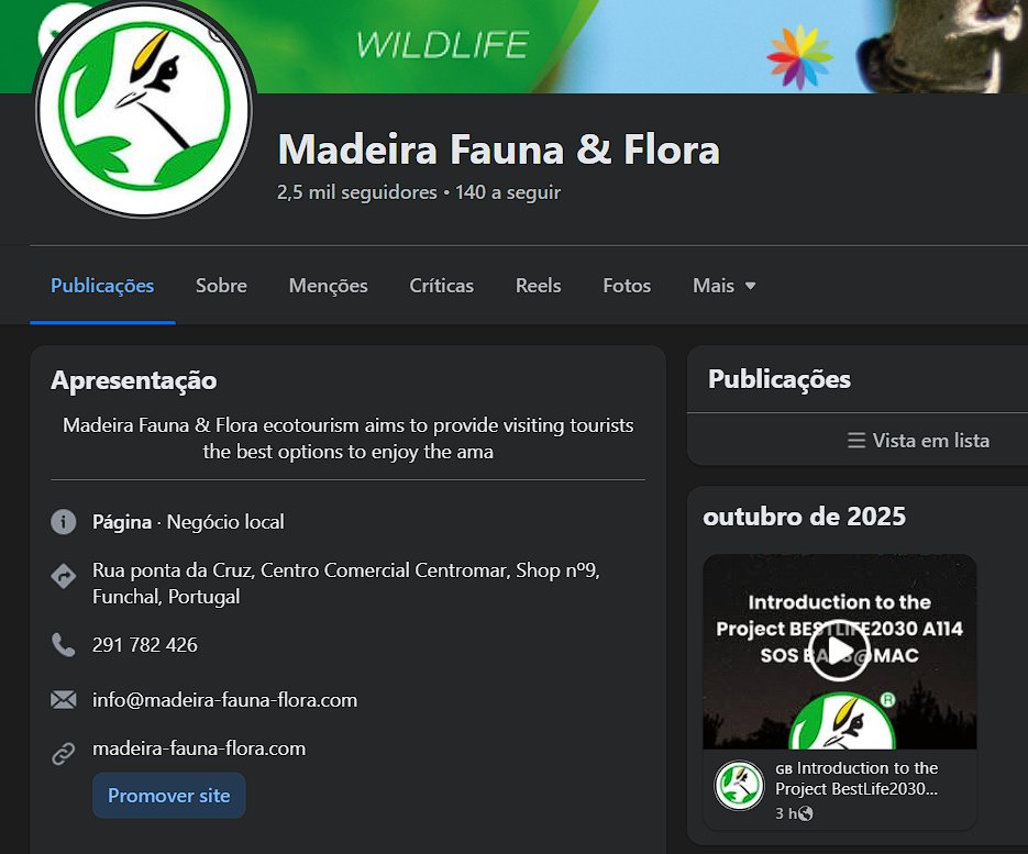 Madeira_f_f's tweet photo. 🔔A new informative video on the SOS BATS@MAC project is now available on our Social Media. It offers new and current followers deeper insight into this key conservation initiative.
#sosbatsatmac #lifeamplifier #bestlife2030 #lifeprogramme @IUCN_BL2030 @LIFEprogramme https://t.co/x28c9BPpxM