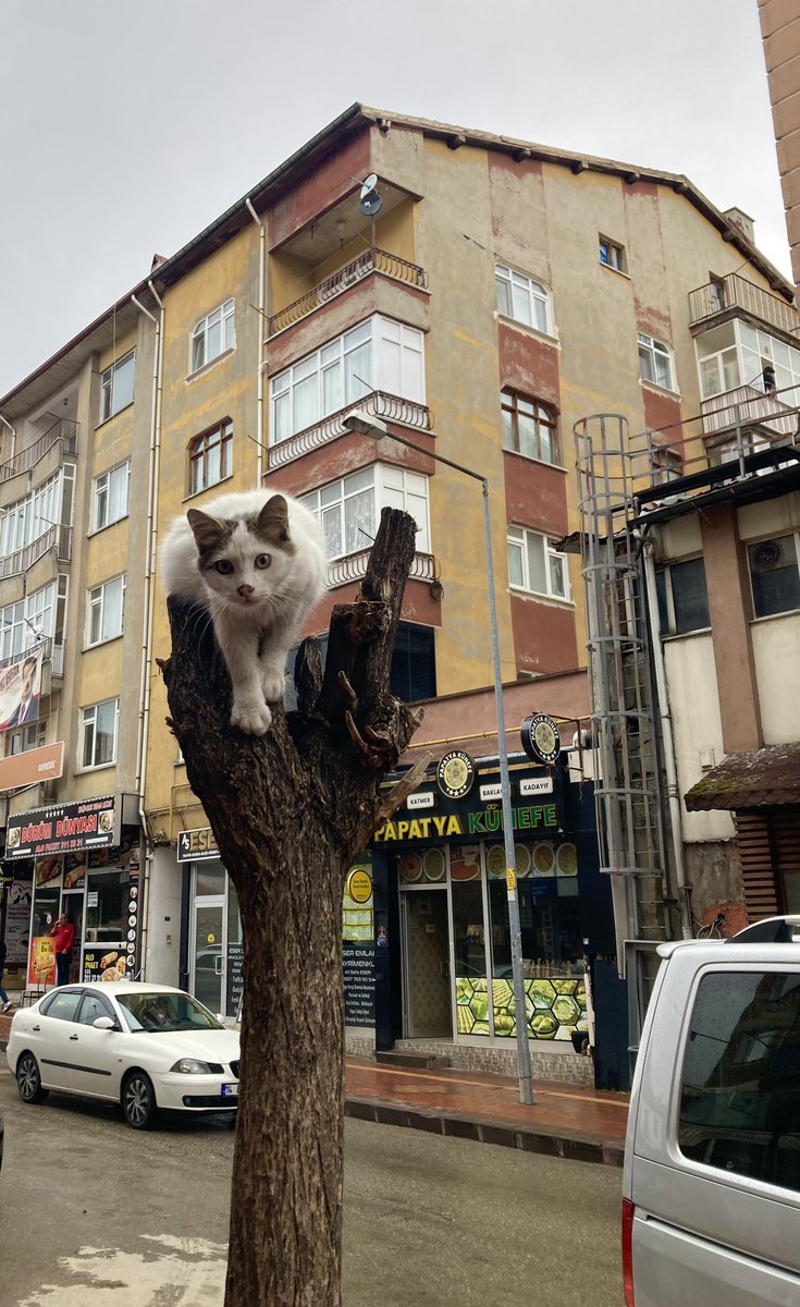 Duygu (@_duyquw) on Twitter photo 