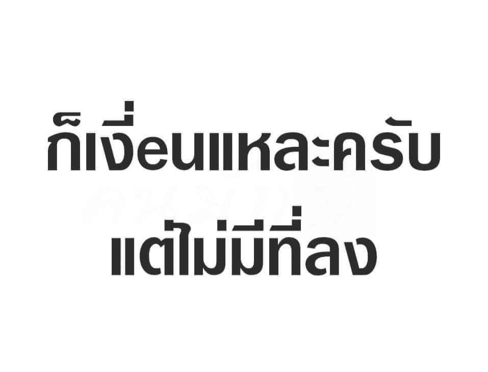 ชายแท้ tweet media