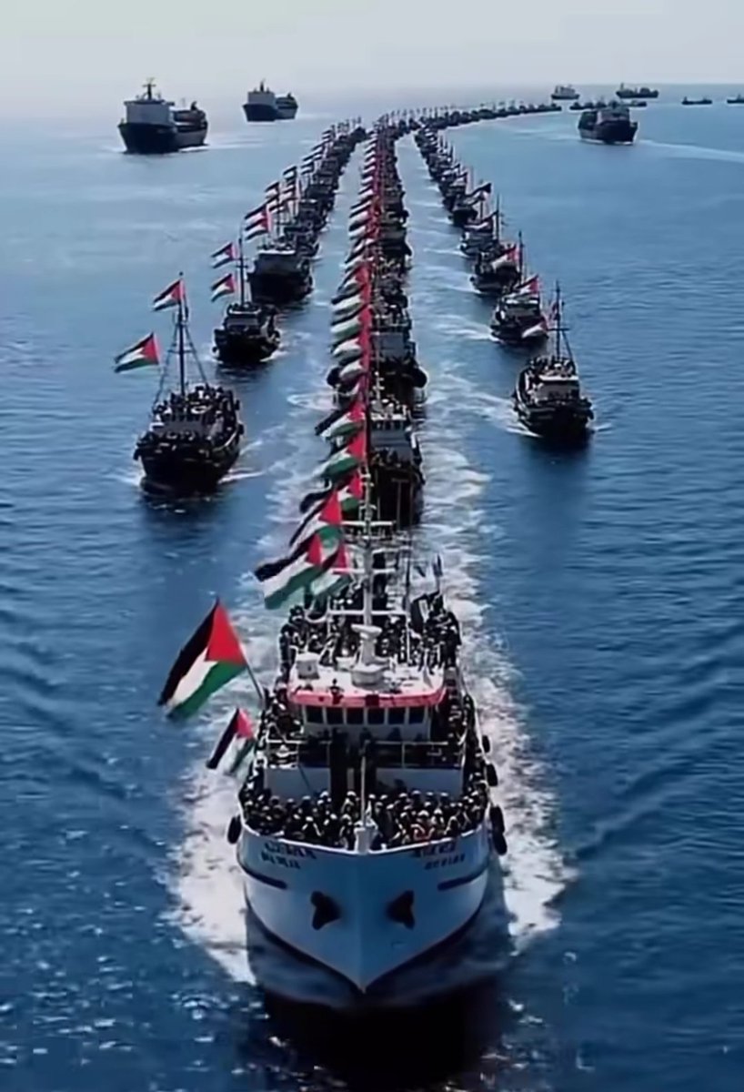 Gündemim Sumud
#MyAgendaSumud
#nazisrael