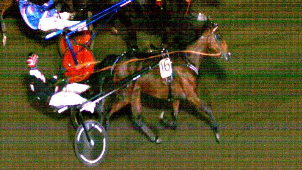 TammaCup-finaalin voitti Caia, ohjissa Mika Forss ja <a href="/hlepist/">Hanna Lepistö</a> valmentaa, tämä oli illan toinen voitto molemille. Omistajat ovat Petri Lahti-Luopa &amp; Suvelan Talli ja kasvattaja Riikka Avotie. Voittoaika 13,6, oikein lämpimät onnittelut #ravit