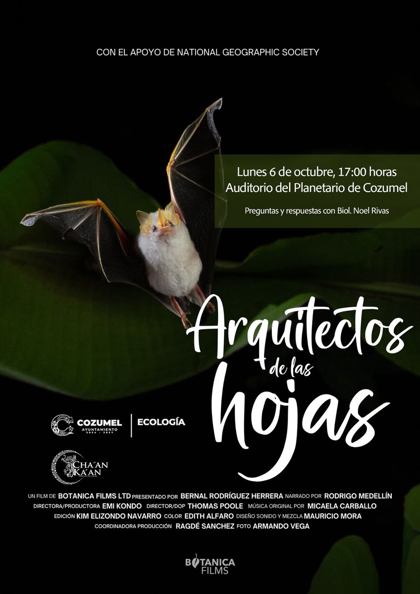 🎬Junto a la Subdirección de Ecología y el <a href="/CozumelGobierno/">Cozumel Gobierno</a> te invitamos a conocer a estos arquitectos voladores nocturnos.
📅 Lunes 6 de oct – 17 hrs.
📍 Auditorio
🎟️ Entrada libre 

🔗 Registra tu asistencia aquí ➡️ forms.gle/8myW4fVDExaG7q…

#PlanetarioCozumel 
#Cozumel