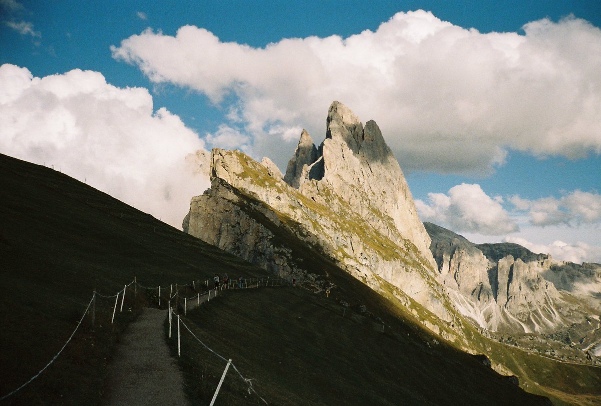 liqpreference's tweet image. Got film back #daddoxx