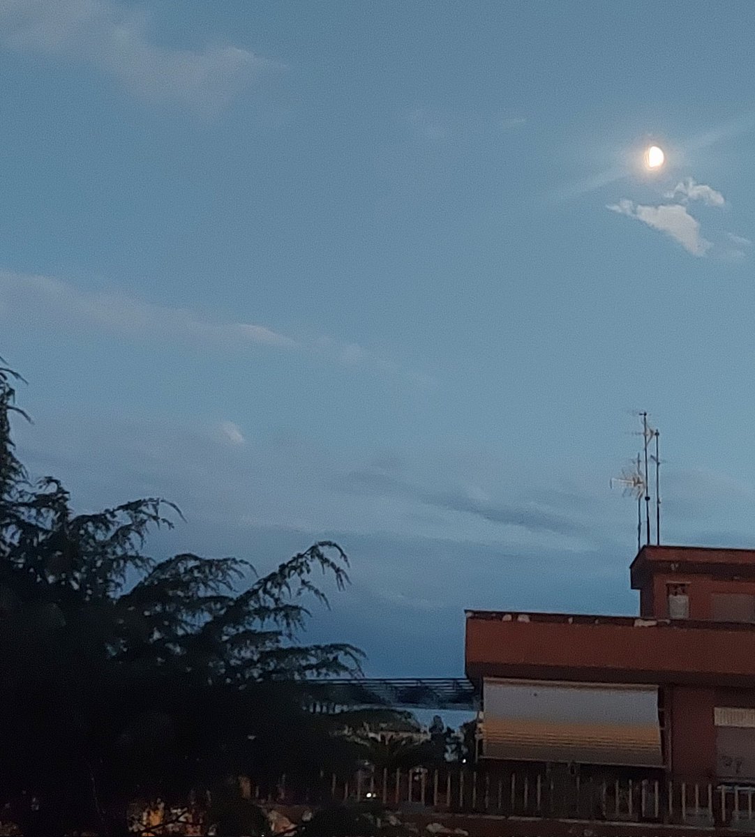 Maria Lea tweet media