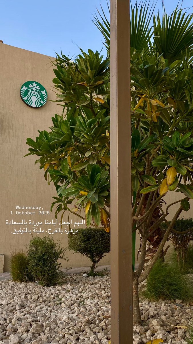شقحَآء ♛ tweet media