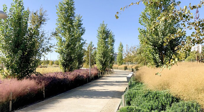 Madrid Proyecta 🏗️ tweet media