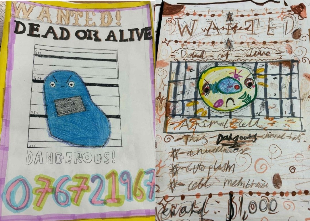 ScienceHGS tweet media