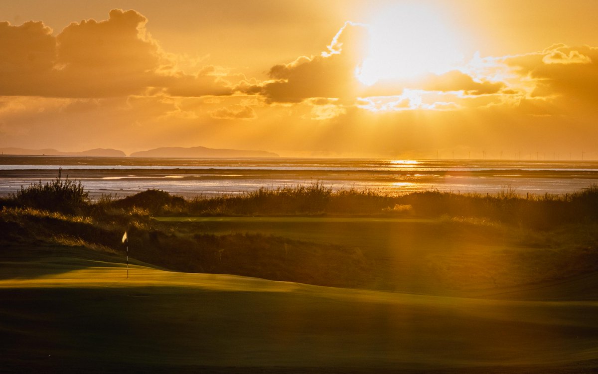 Blueoak Estates tweet media