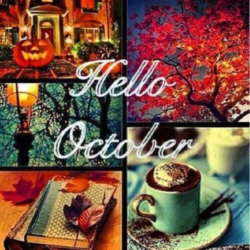 NFSI_'s tweet image. Hello October! Check out our Newsletter:

mailchi.mp/35752010468e/o…