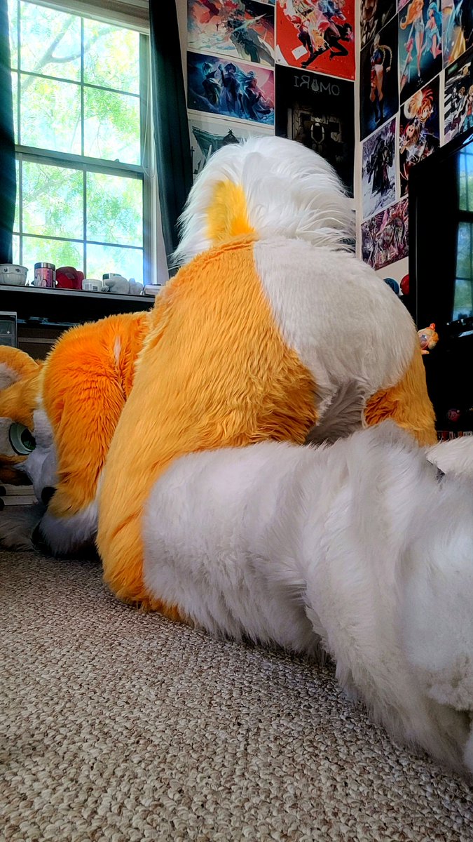 kyoThehusky's tweet photo. Brushed and ready for your face😏
🍑humpday🍑 https://t.co/SkUq3WCTM8