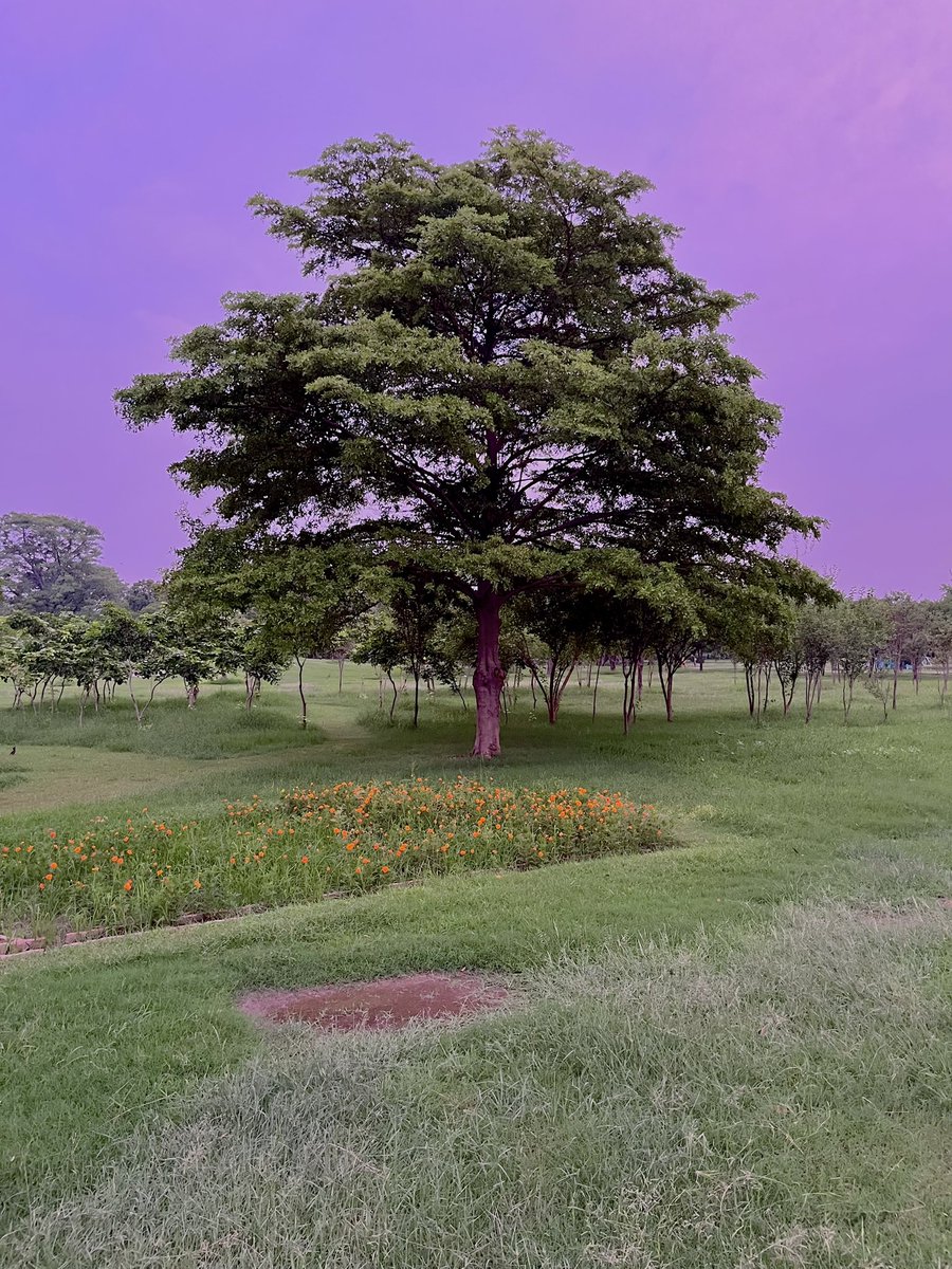 Toxic1point0's tweet photo. Mine clicks https://t.co/y6WTWEgd3o