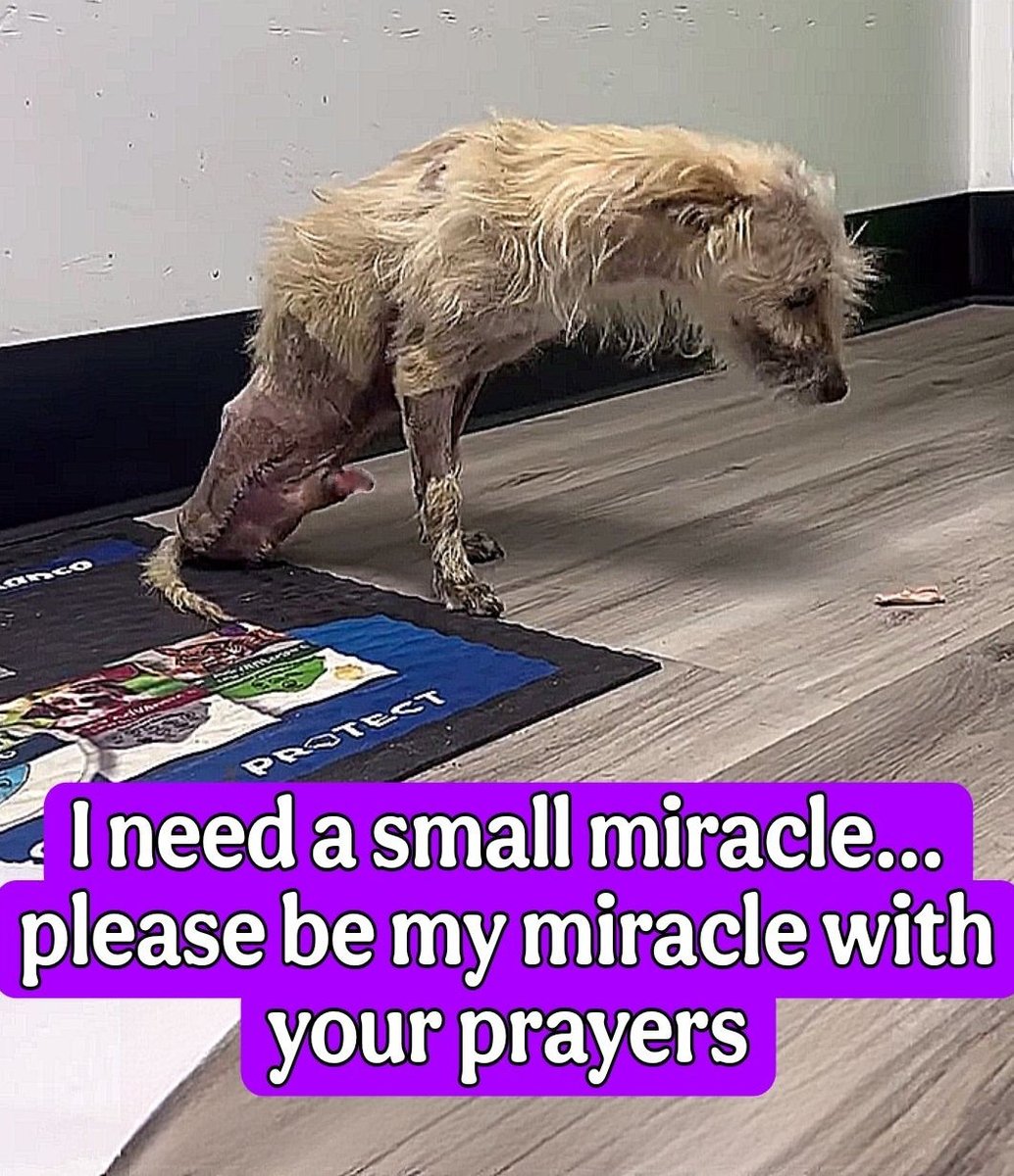 I used to run freely, full of energy and joy. Life has changed, and now every step is a challenge, but my spirit is still holding on.

There are more struggles ahead, and some days feel harder than others. Yet I carry a little hope, believing that kindness can make all the