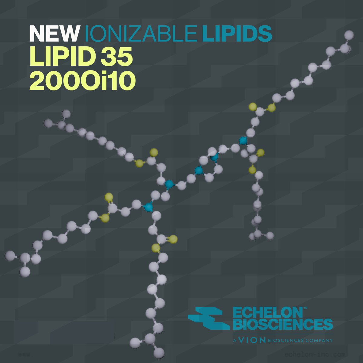 🧬 New Options for mRNA Delivery
New ionizable lipids:
🔹 Lipid 35 – A biodegradable urea linker modulates LNP pKa, offers improved stability &amp; specificity for lung transfection.
🔹 2000i10 –  LNPs show strong protein expression in the liver &amp; spleen.
👉 echelon-inc.com/product-catego…
