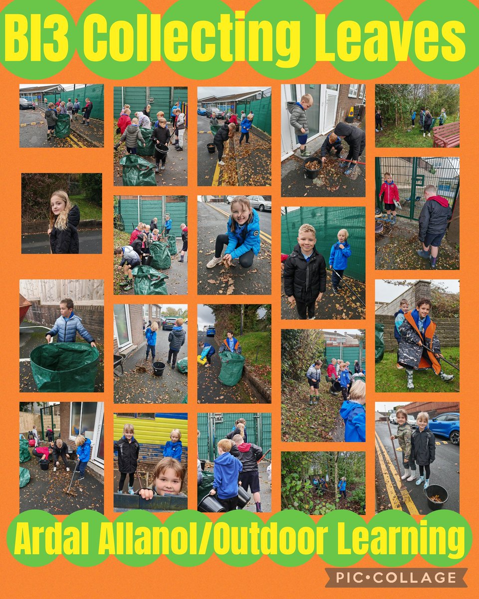SwissValleyCP's tweet image. Bl3 collected #leaves this morning and used them to make #symmetrical and #repeatingpatterns before putting them in the composter
#SVCPMathsNumeracy
#SVCPOutdoors
