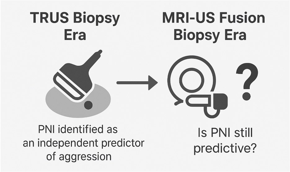 nethusans's tweet image. Is perineural invasion still relevant in low-risk PCa with MRI-US fusion biopsies? Find out in our new article from @Yale_Urology!

Co-authors: @gabrielamdd, @sstrachanmd, K. Kandala, @drtanws, @mleapman, @dr_sprenkle
@urotoday @AmerUrological #UroSoMe

🔗 pubmed.ncbi.nlm.nih.gov/40946534/