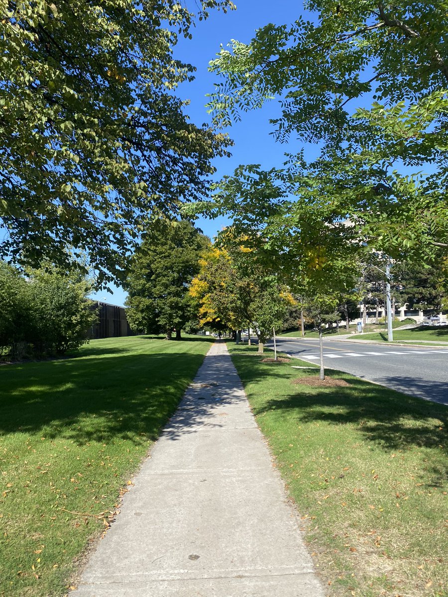 toniheat14's tweet image. If only we could have tree-lined streets in Jamaica 🇯🇲 
#CivicPride #Ownership #ClimateAction #MentalHealthImproved