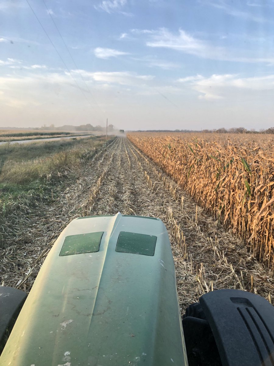 78 day good to go. Sitting at 21% on the soft start last night